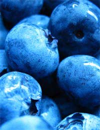 Superfruits Fruit Berries Health Diet